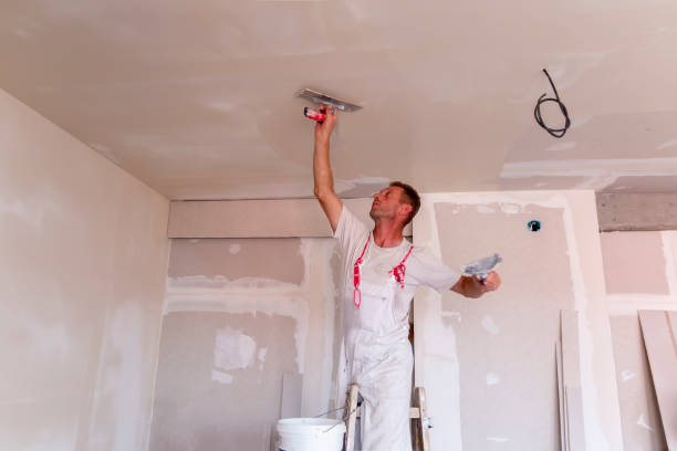 Best Water-Damaged Drywall Repair  in Fall City, WA